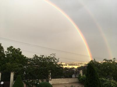 Прикрепленное изображение: IMG_9584.jpeg